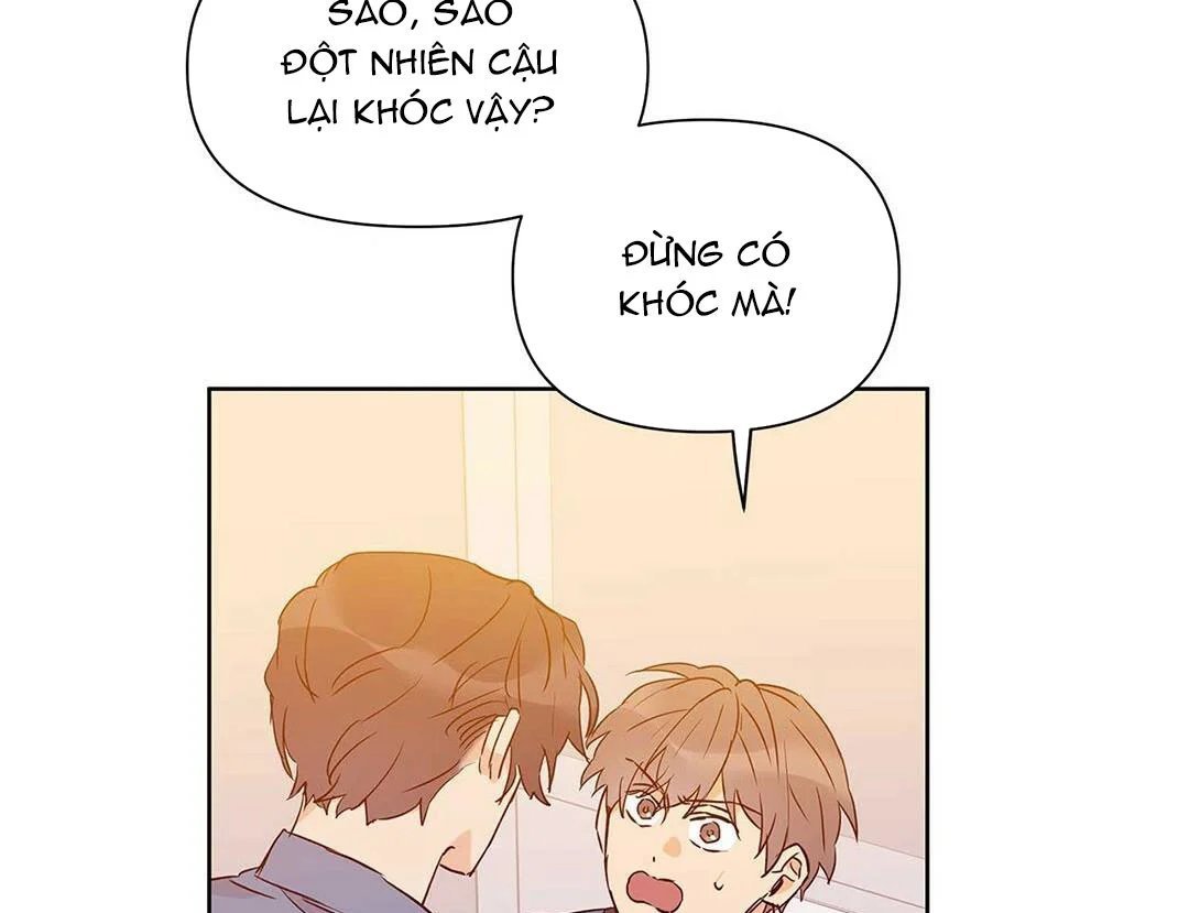 guide cấp b chapter 25 68