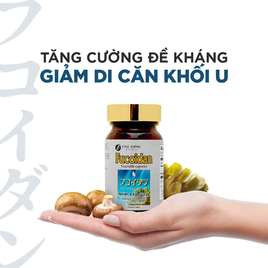 Viên uống hỗ trợ điều trị ung thư Fine Japan Fucoidan