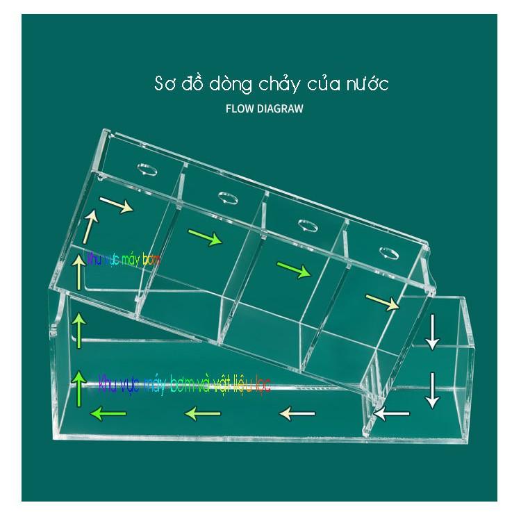Bể cá betta acrylic đặc biệt kết cấu chéo