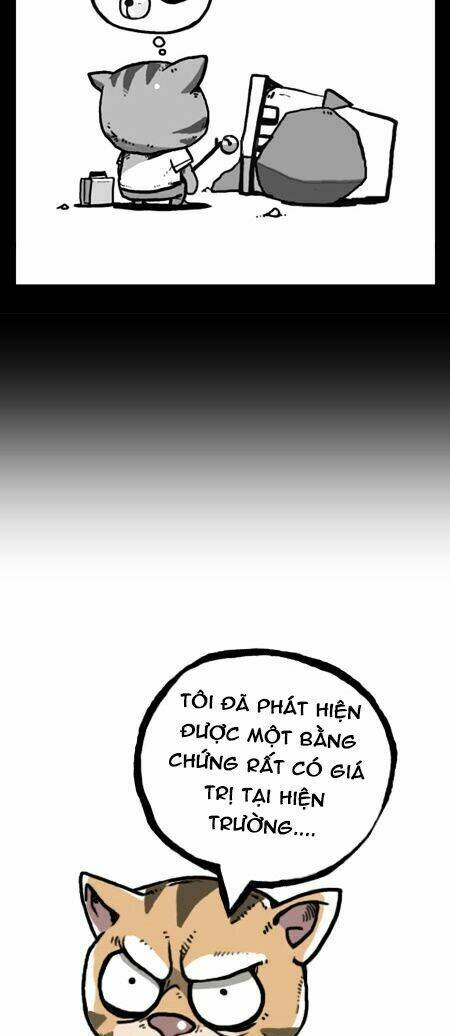 earth, human, and animal chapter 22 25