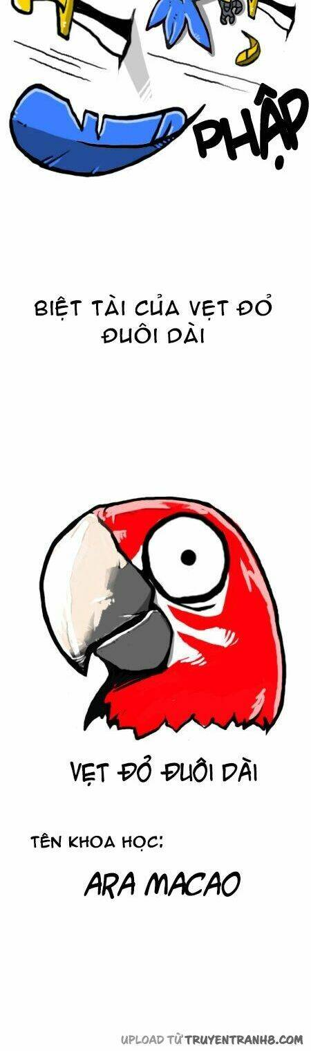 earth, human, and animal chapter 11 5