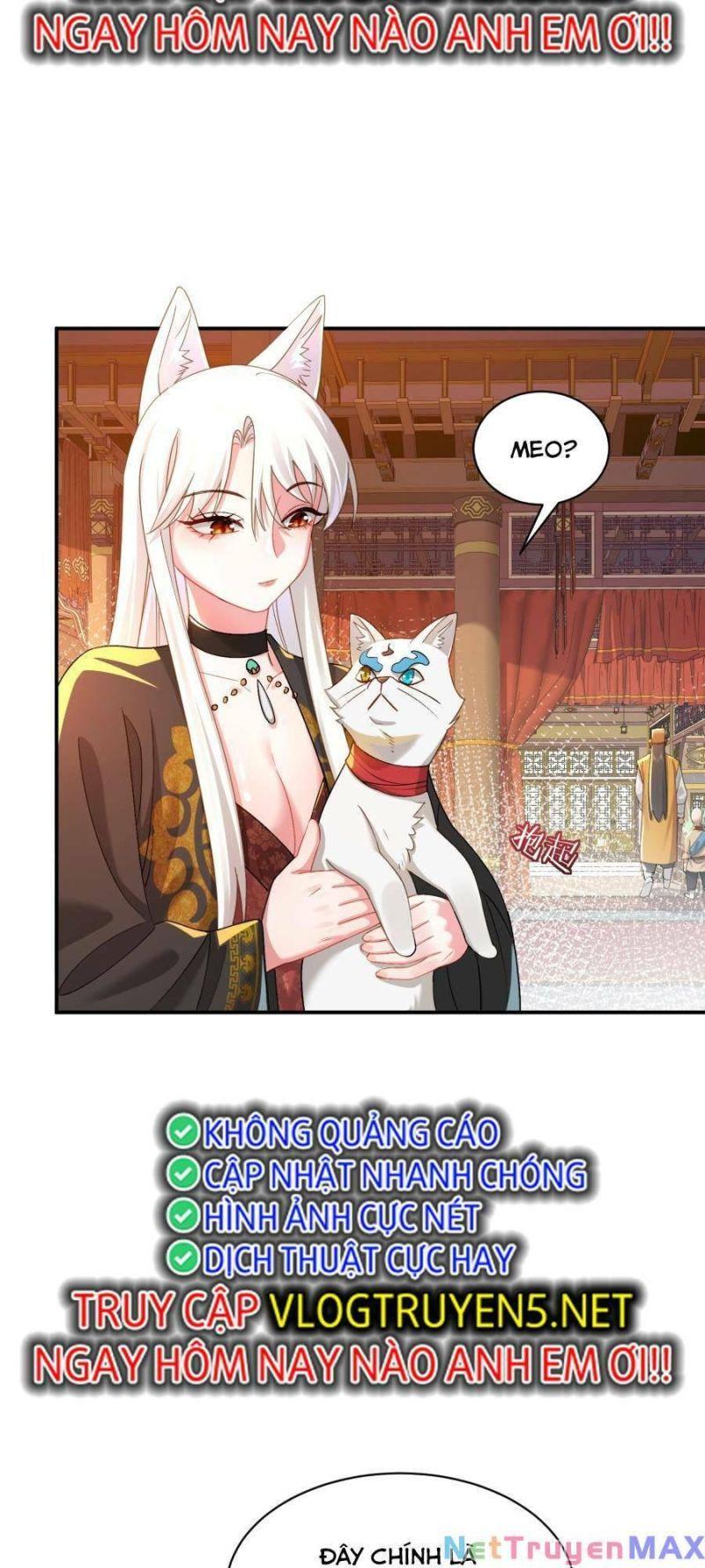 bói toán mà thôi, cửu vĩ yêu đế sao lại thành nương tử ta?! chapter 21 47