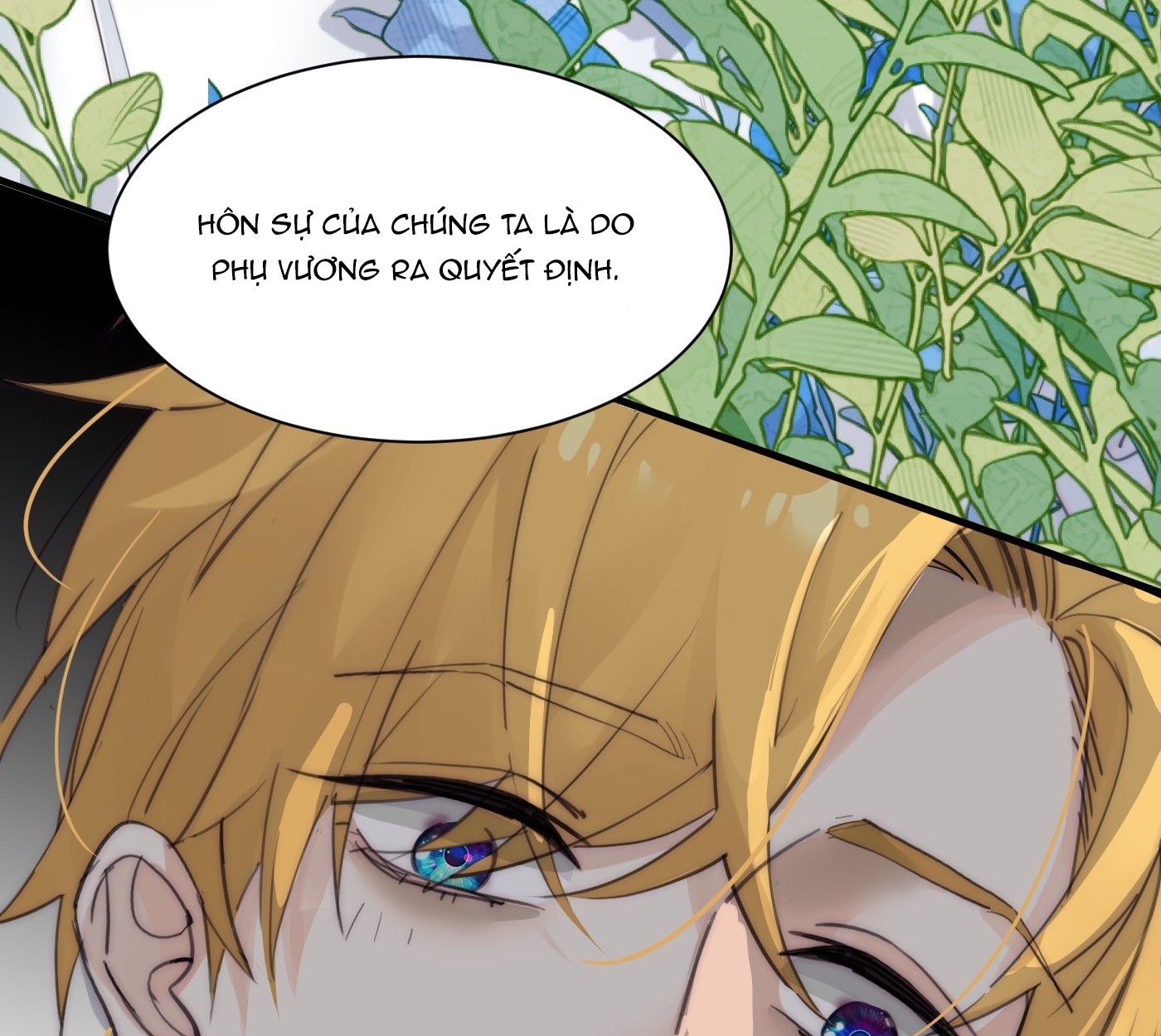 bông hoa độc của nhà công tước chapter 1.2 33