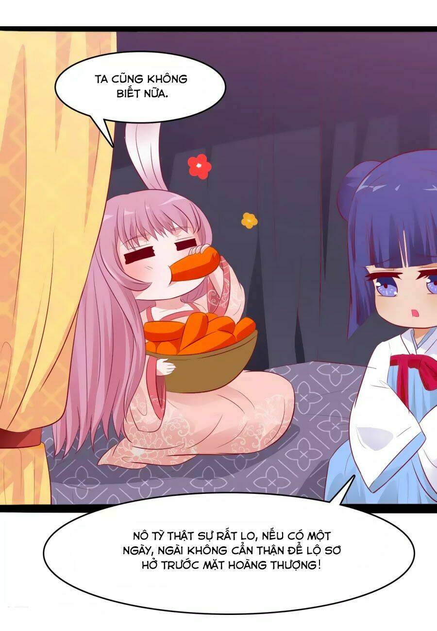 thỏ yêu tiểu vương phi chapter 34 33