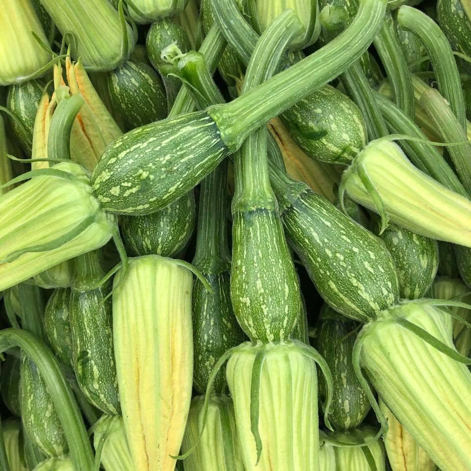 Gói 10 Hạt giống bí ngô siêu nụ cao sản