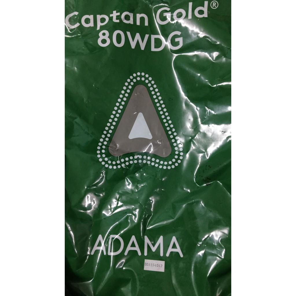 Trừ Nấm khuẩn Captan 80 dạng hạt cốm nhập từ Mỹ gói 100 gr