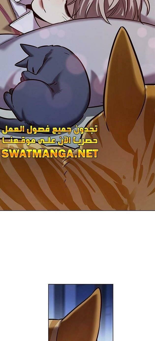 biến thân thành mèo chapter 229 49