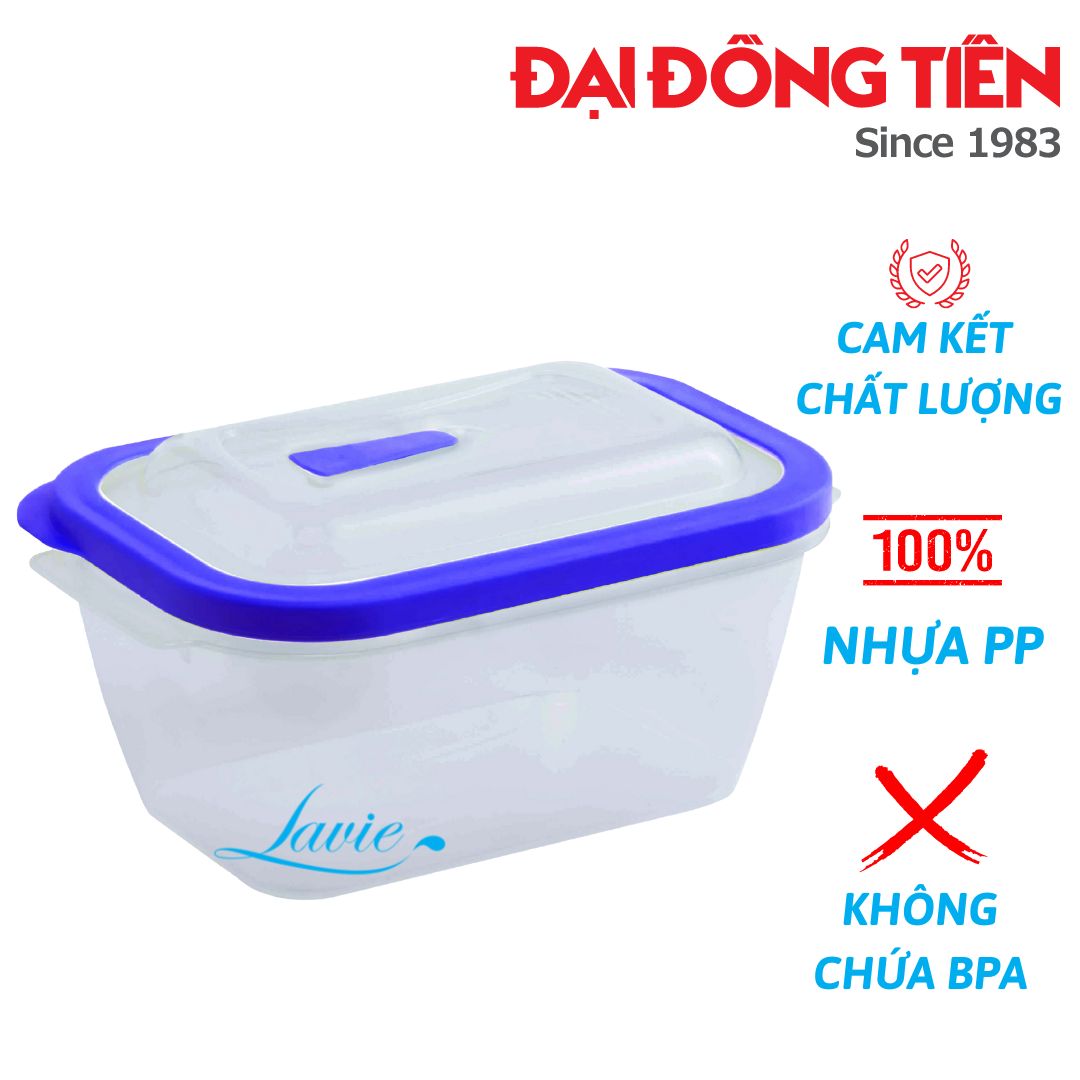 Hộp nhựa Sina to đựng thực phẩm thức ăn tiện lợi dung tích 3000ml thương hiệu Đại Đồng Tiến