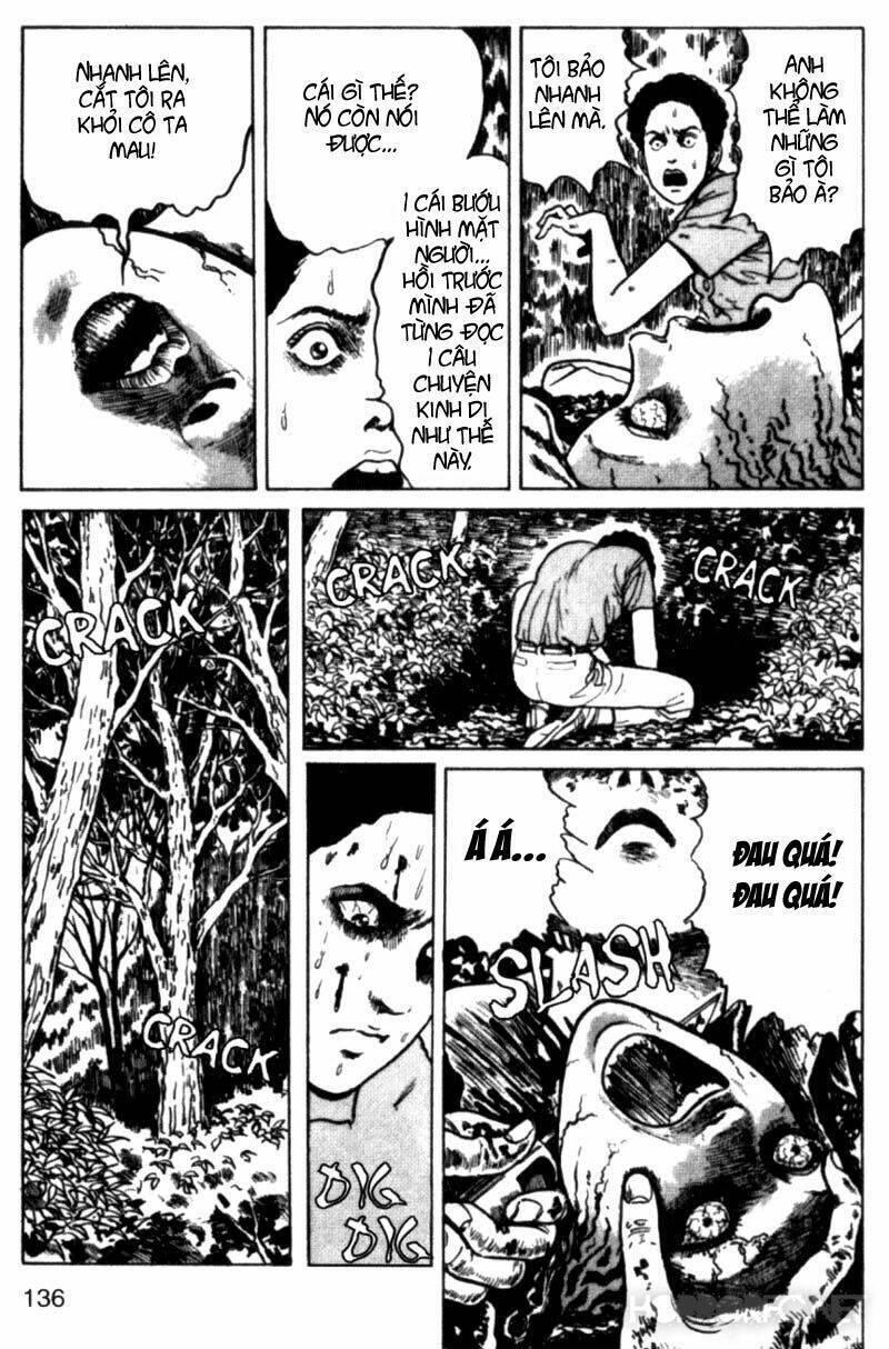 tuyển tập truyện ngắn kinh dị của ito junji chapter 2.4 14