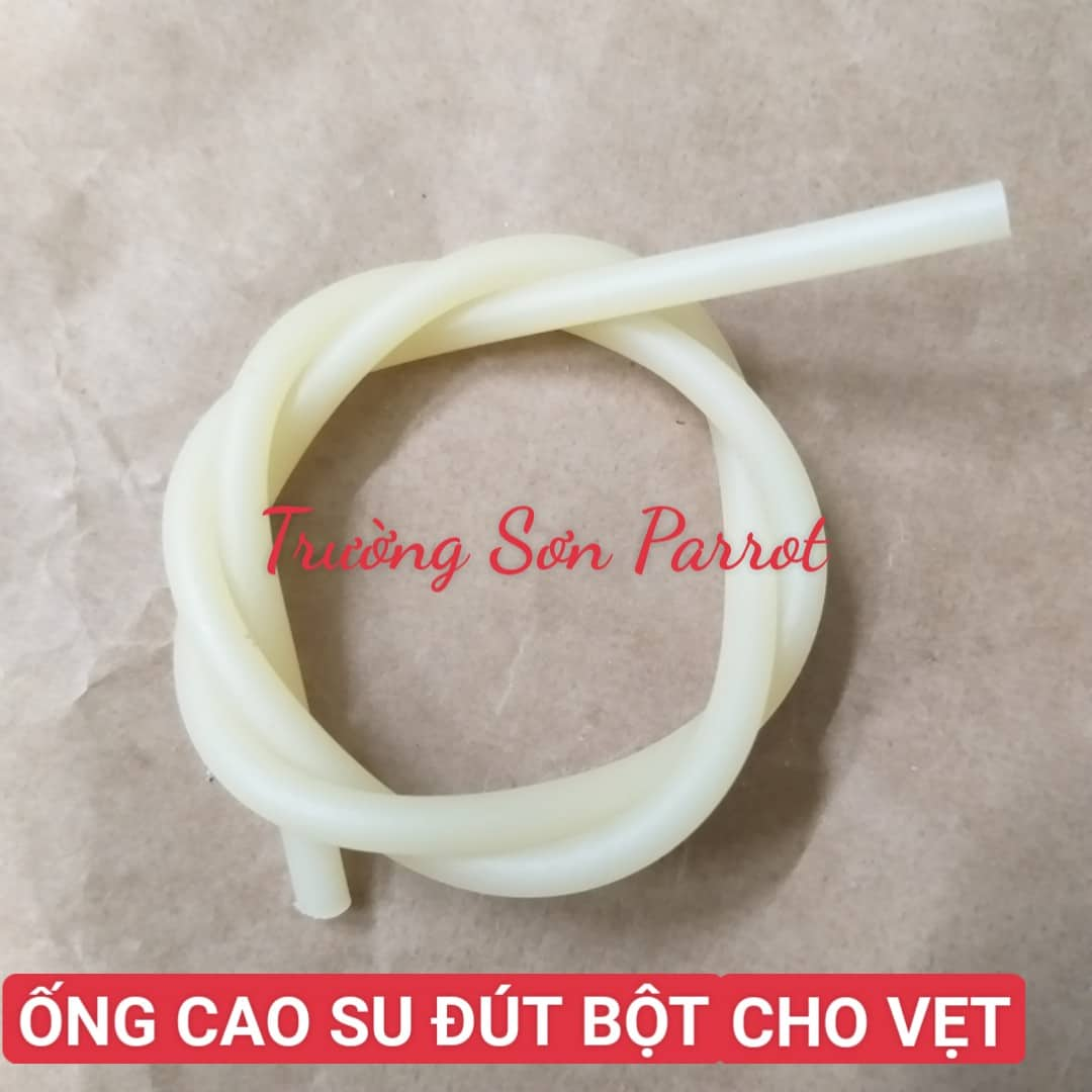 Ống luồn đút bột cho vẹt non, chim non