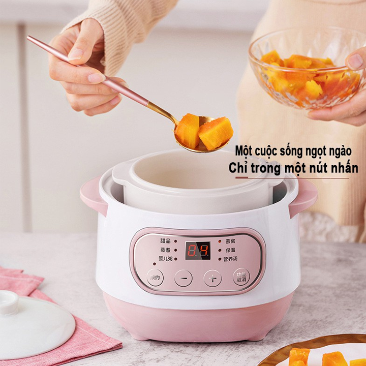 Nồi Nấu Cháo Chậm, Nồi Hầm Điện Cách Thủy, Nấu Cháo, Chưng Yến, Hầm Xương, Nấu Canh Cho Gia Đình - Dung Tích 1L - Hàng Nhập Khẩu