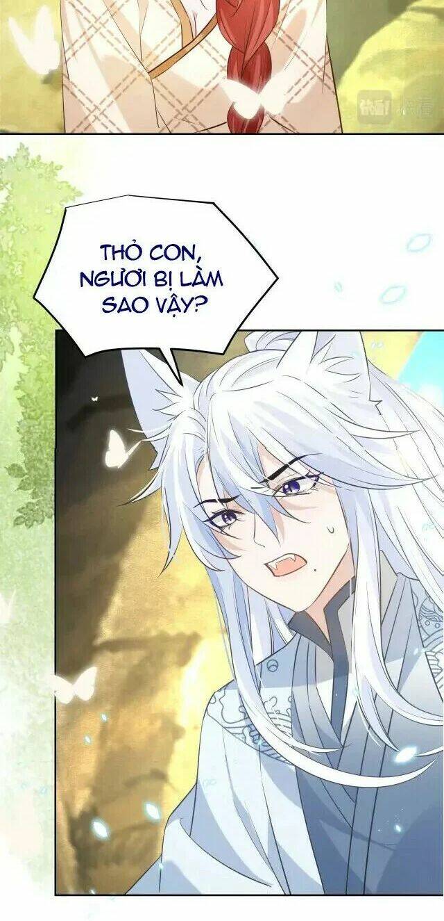 hắc hóa nam chính trực tuyến nuôi thỏ chapter 42 42