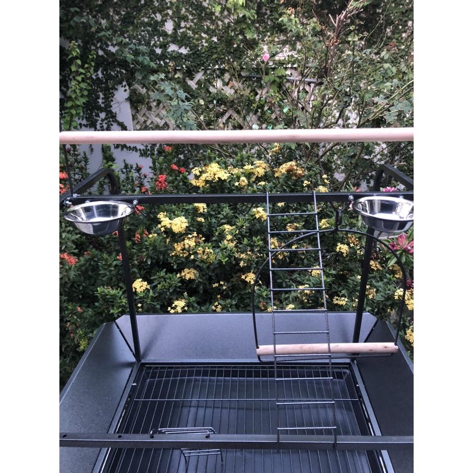 Cầu đứng cho vẹt hàng cao cấp nhập khẩu dành cho vẹt trung và lớn như xám, xích, amazon, electus, lory, macaw ..