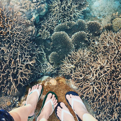 Tour Bình Ba 2N2Đ, Lặn Ngắm San Hô - BBQ Hải Sản - Bãi Nồm - Chùa Ốc - Vườn Nho, Xe Giường Nằm, Khởi Hành Tối Thứ 6 Hàng Tuần & Dịp Lễ Tết