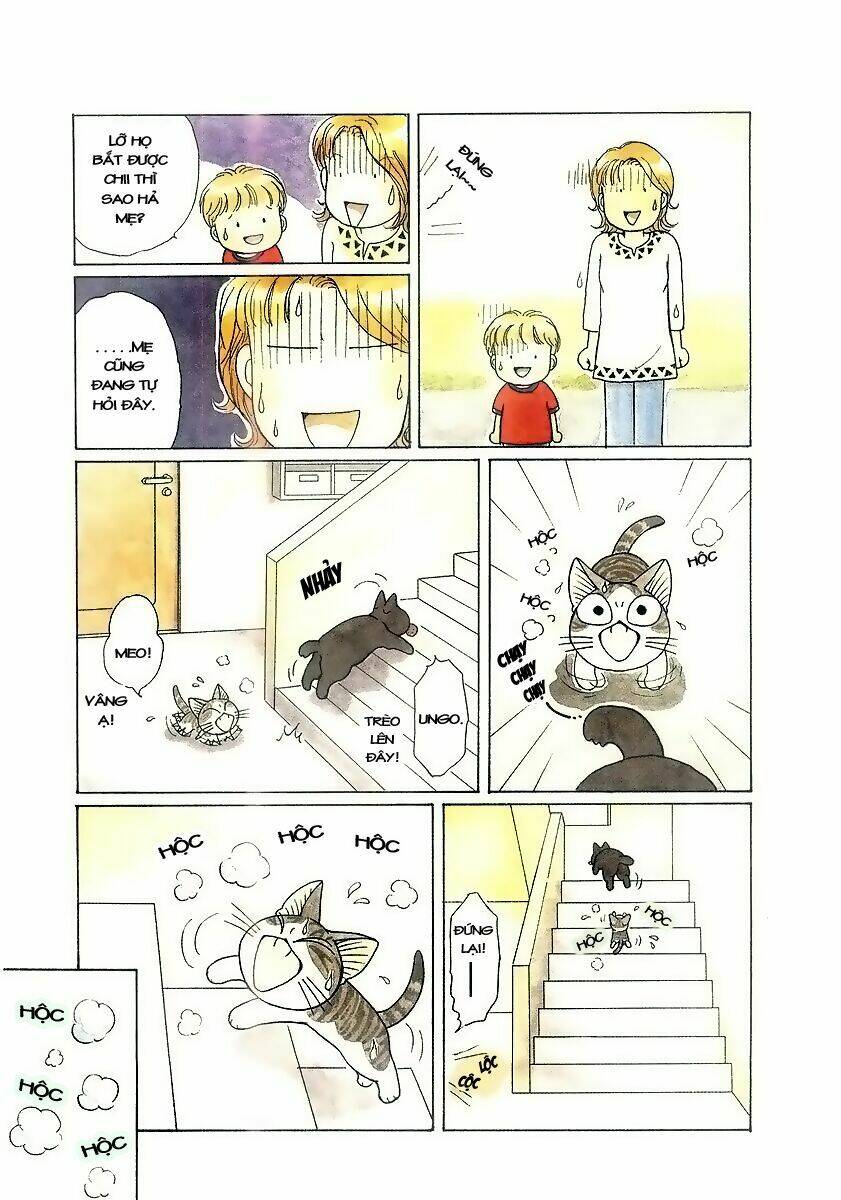 chi's sweet home chapter 47 6