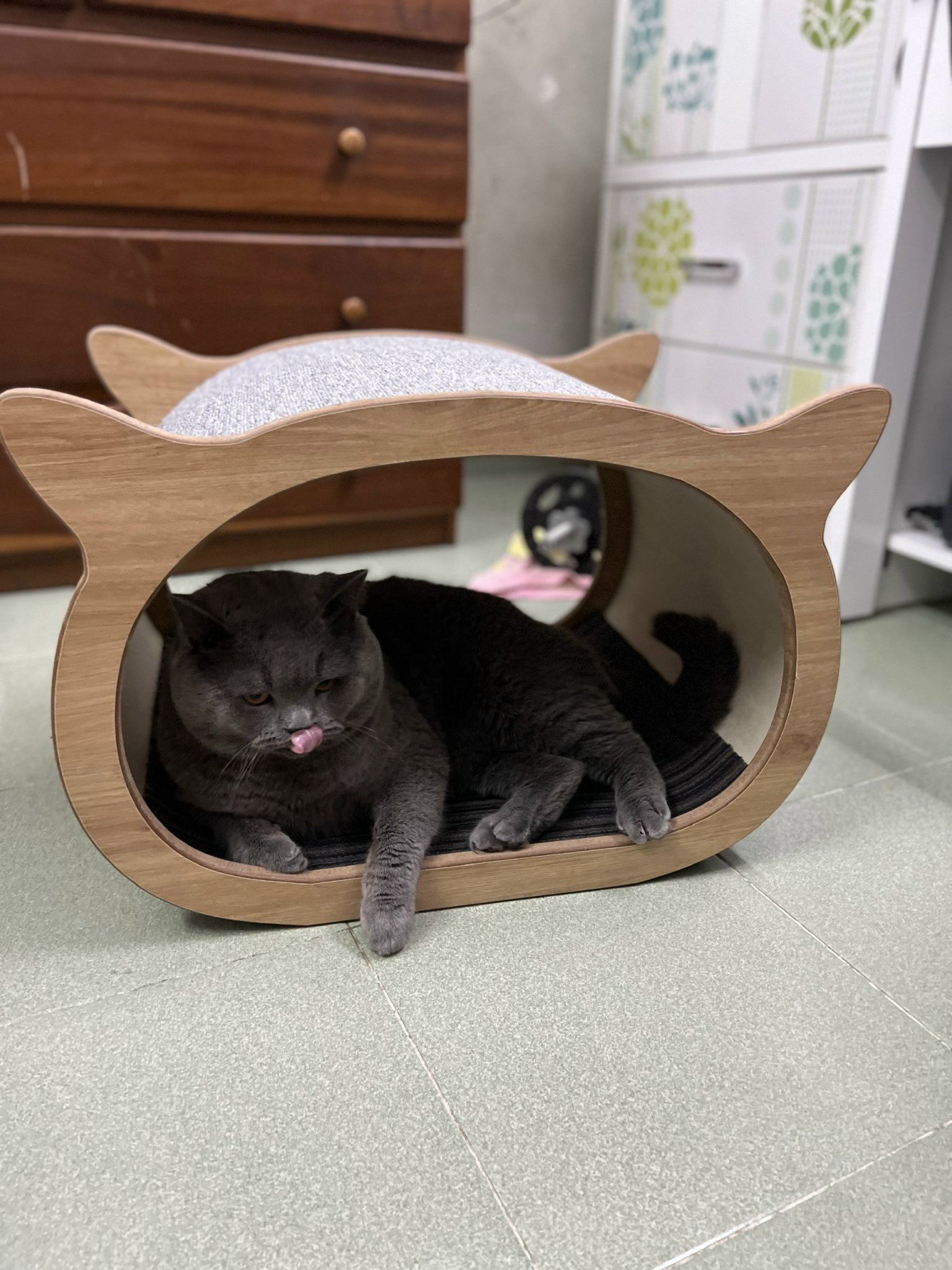 Chuồng mèo MSM002