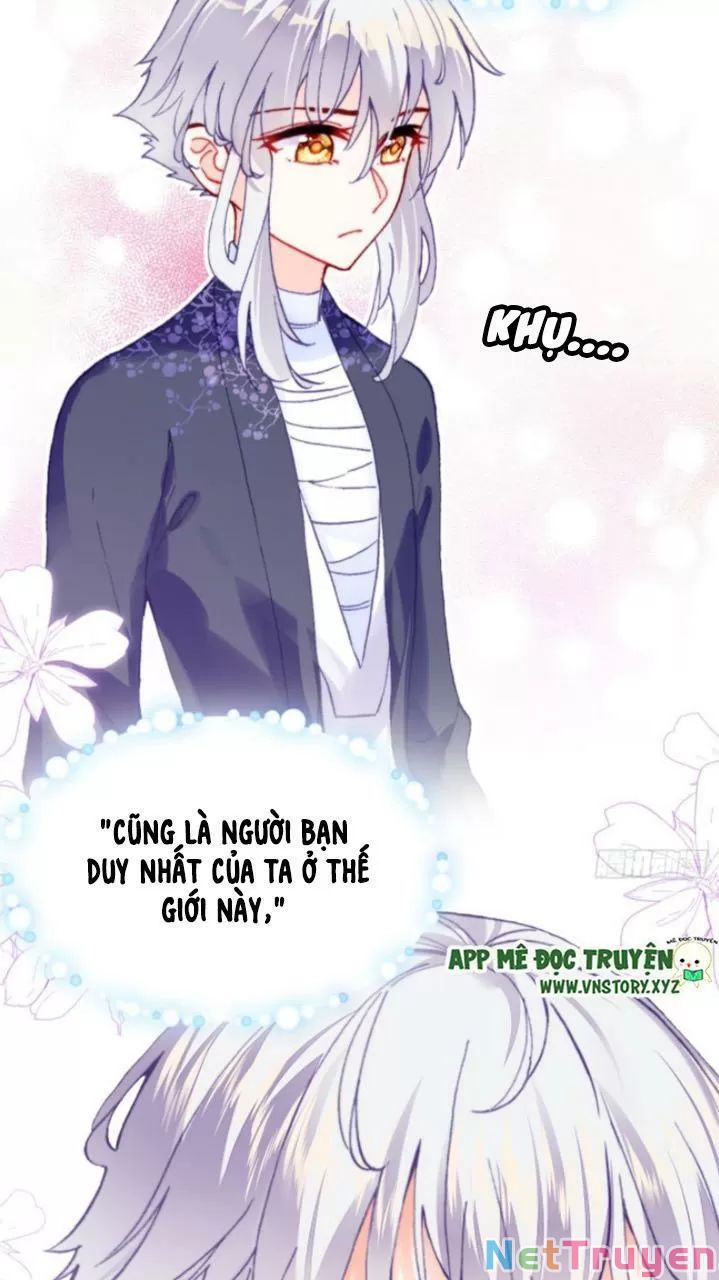 lại bị bệnh chiều chuộng quấn lấy chapter 25 33