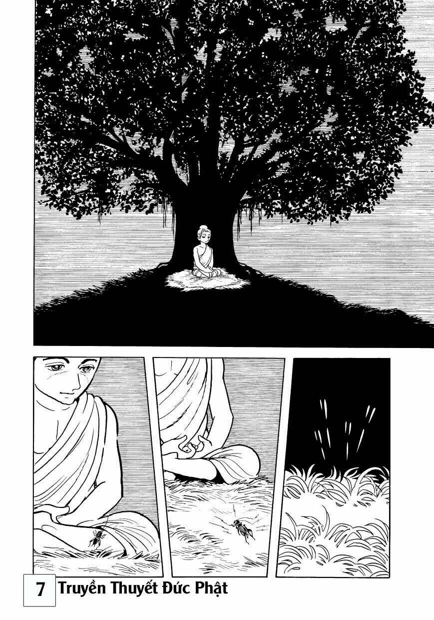 buddha - truyền thuyết đức phật chapter 33 6