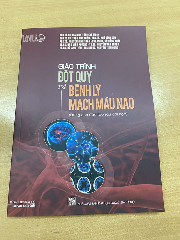Giáo trình Đột quỵ và bệnh lý mạch máu não (Dùng cho đào tạo sau đại học)