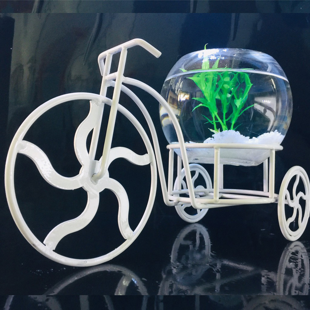 Bể cá mini để bàn xe đạp