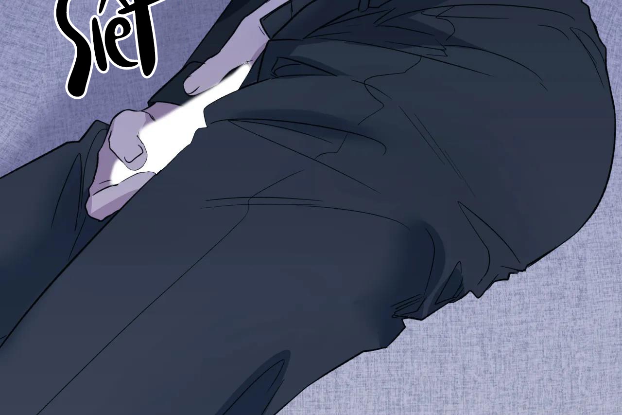 ám ảnh pheromone chapter 60 51