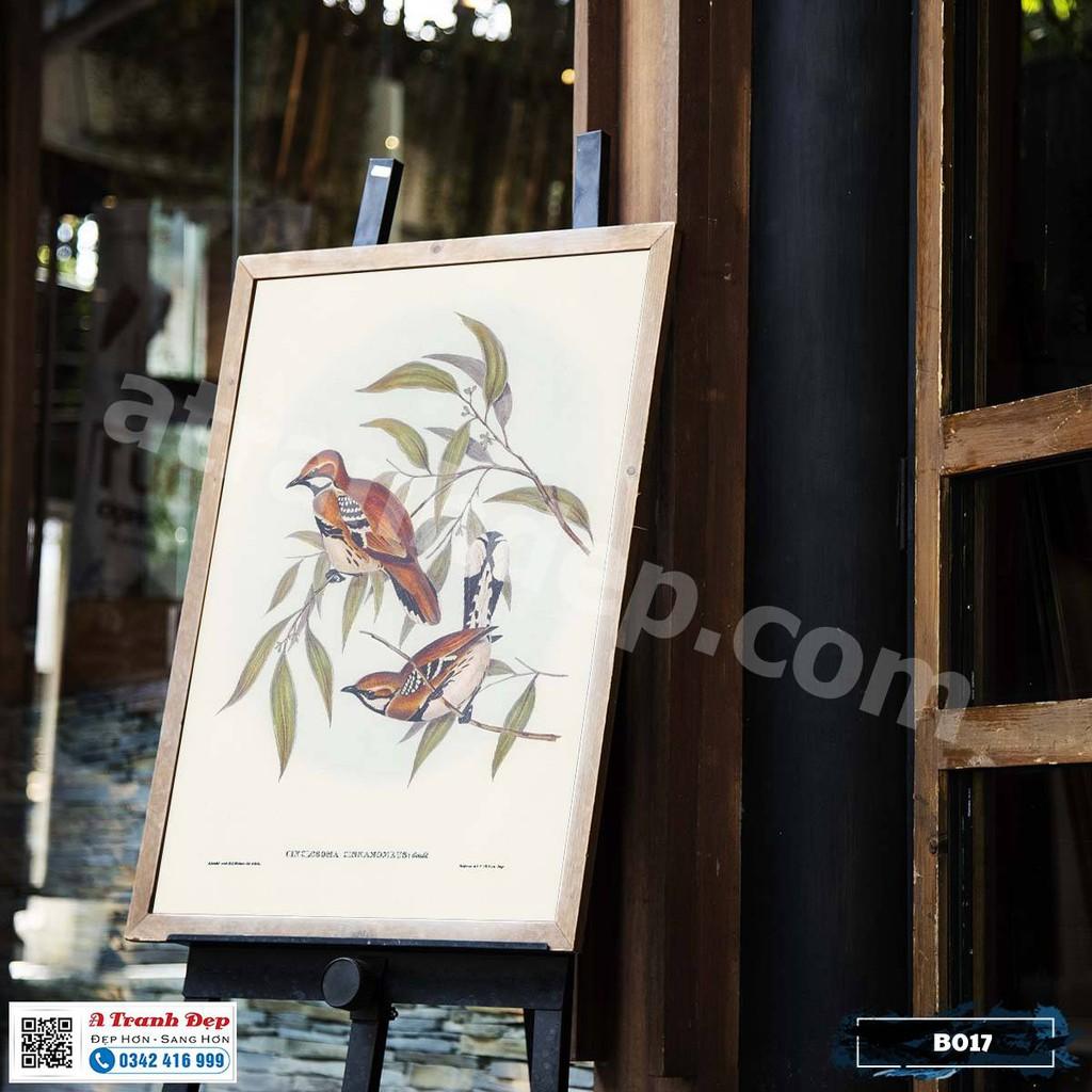 Tranh Canvas minh họa loài chim sẻ phong cách cổ điển - B017