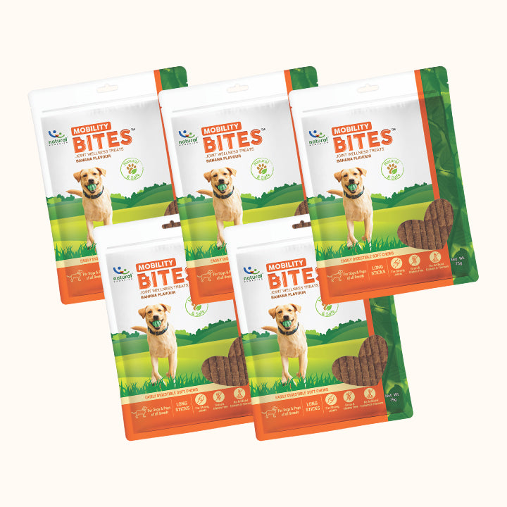 Snack bổ sung dưỡng chất cho chó - MOBILITY  BITES (Hương  chuối)