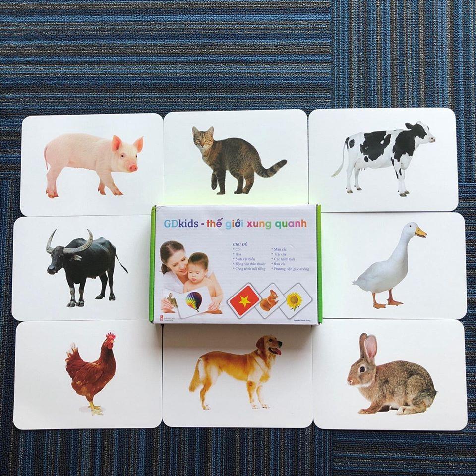 THẺ HỌC THẾ GIỚI XUNG QUANH - 10 CHỦ ĐỀ - 100 THẺ- Flash Card chuẩn phương pháp giáo dục sớm