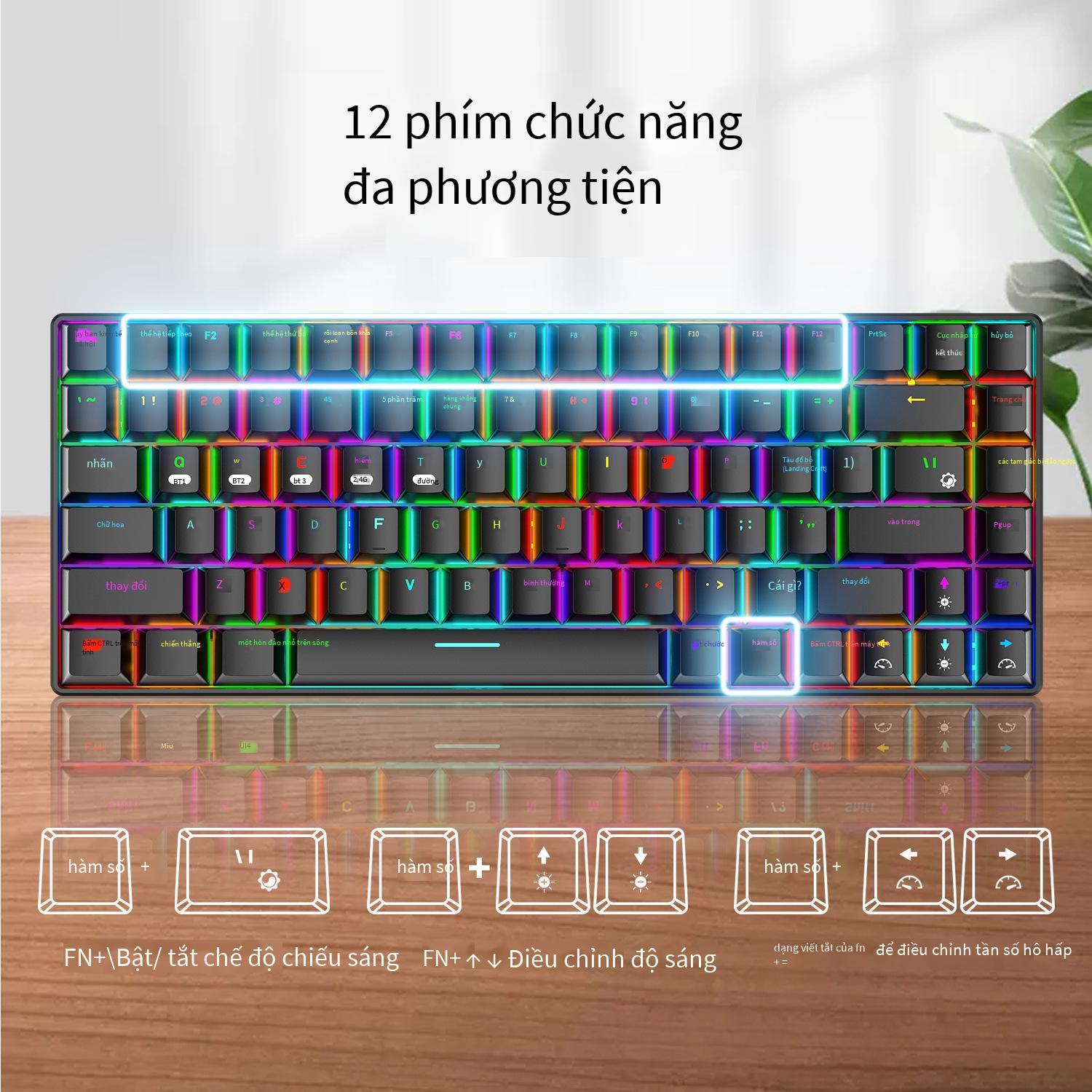 Phong cách mới nhất Xinmeng RF-84RGB ba chế độ Bluetooth 2.4G bàn phím cơ không dây Bàn phím máy tính xách tay trò chơi tùy chỉnh 84 phím