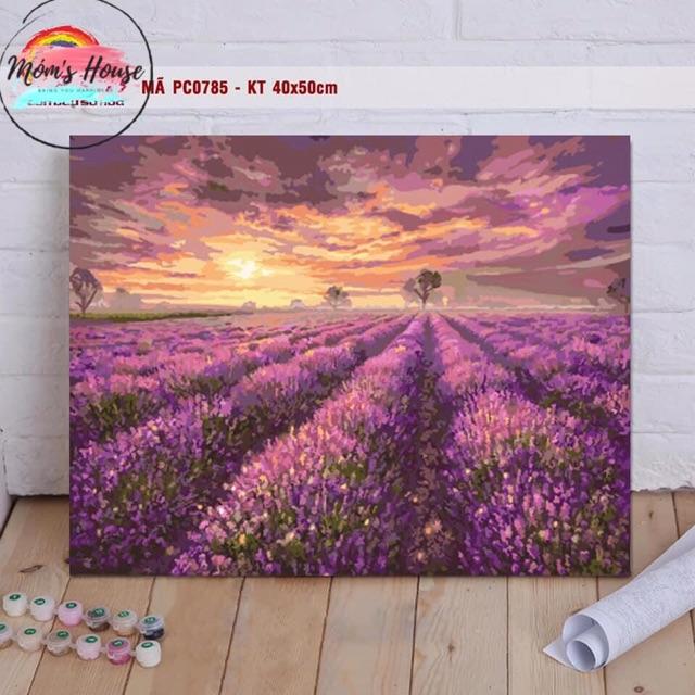 TRANH TÔ MÀU SỐ HÓA CHUẨN MÀU  CÁNH ĐỒNG LAVENDER KHUNG DÀY