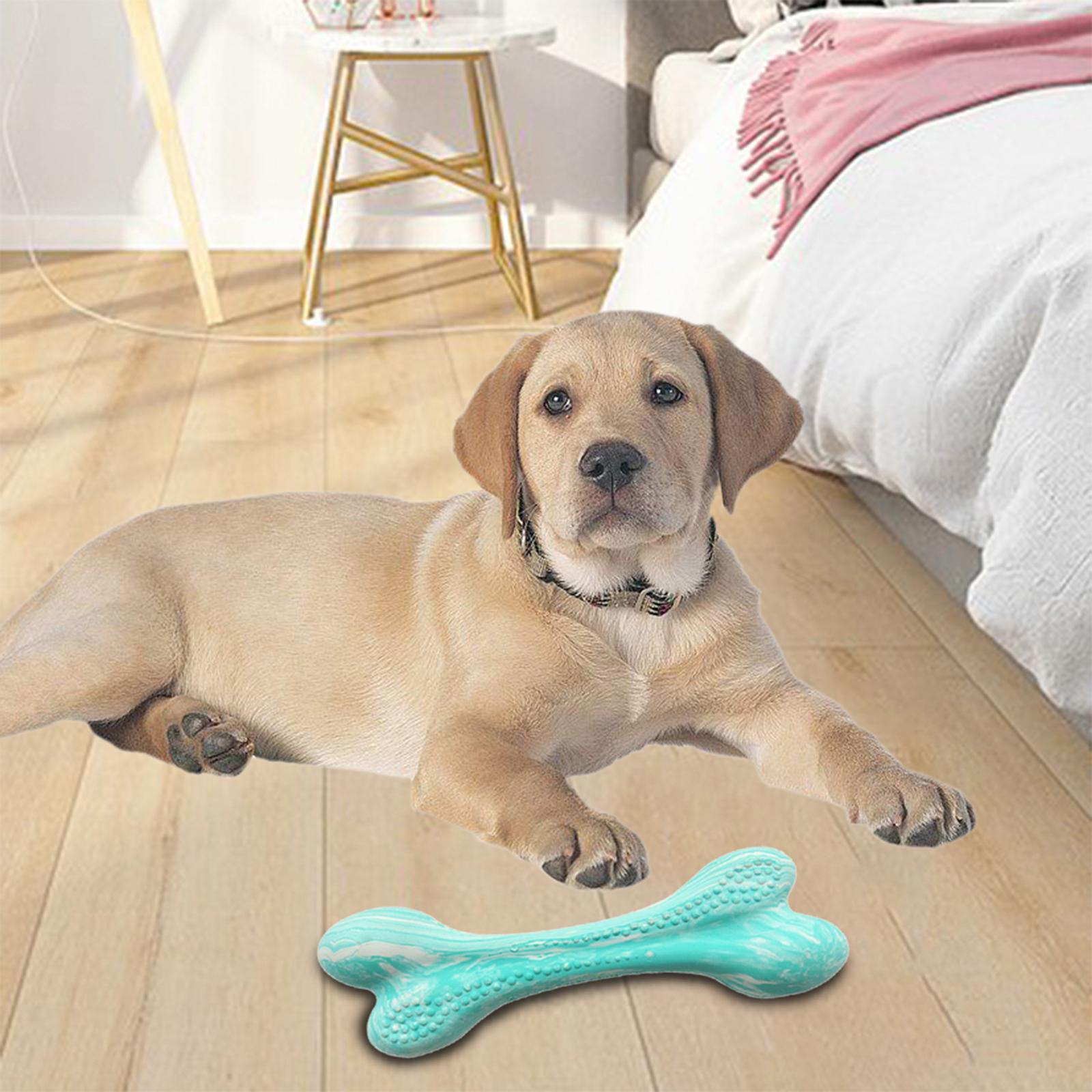 2 Packs Dog Chews Toys, chew bone for Small Medium Large dogs Dental Care