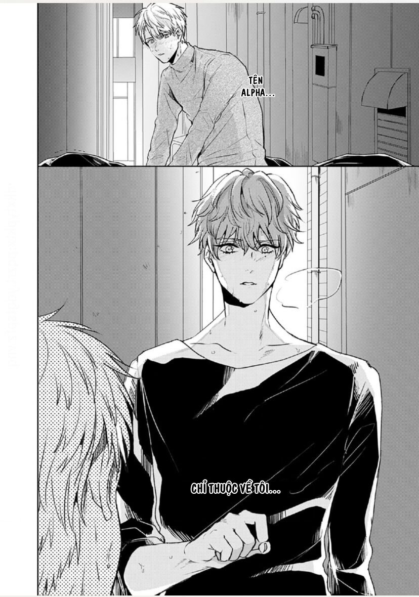 vết cắn tình đầu chapter 2 4