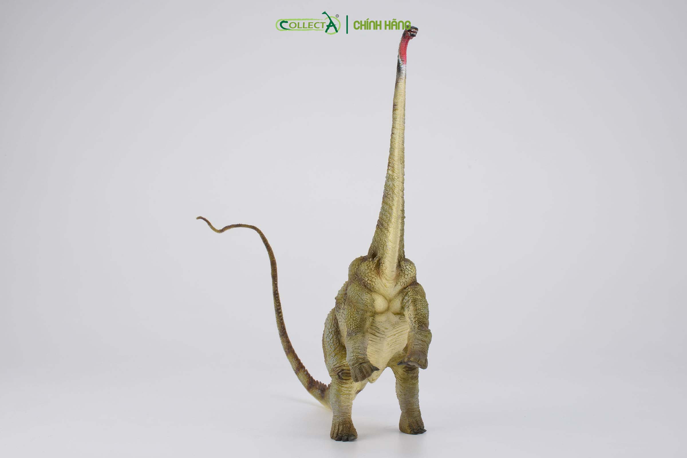 Mô hình thu nhỏ: Khủng Long Diplodocus - Diplodocus , hiệu: CollectA, mã HS 9654050 - Chất liệu an toàn cho trẻ - Hàng chính hãng