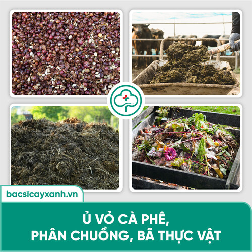 Trichoderma Chế phẩm ủ phân, phân huỷ vỏ cà phê, diệt nấm đối kháng, mầm bệnh trong đất BS07 1kg NSX Bacsicayxanh