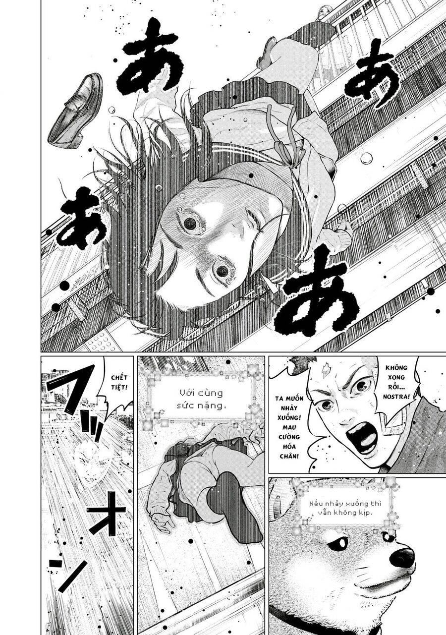 mật danh: nostra chapter 24 2