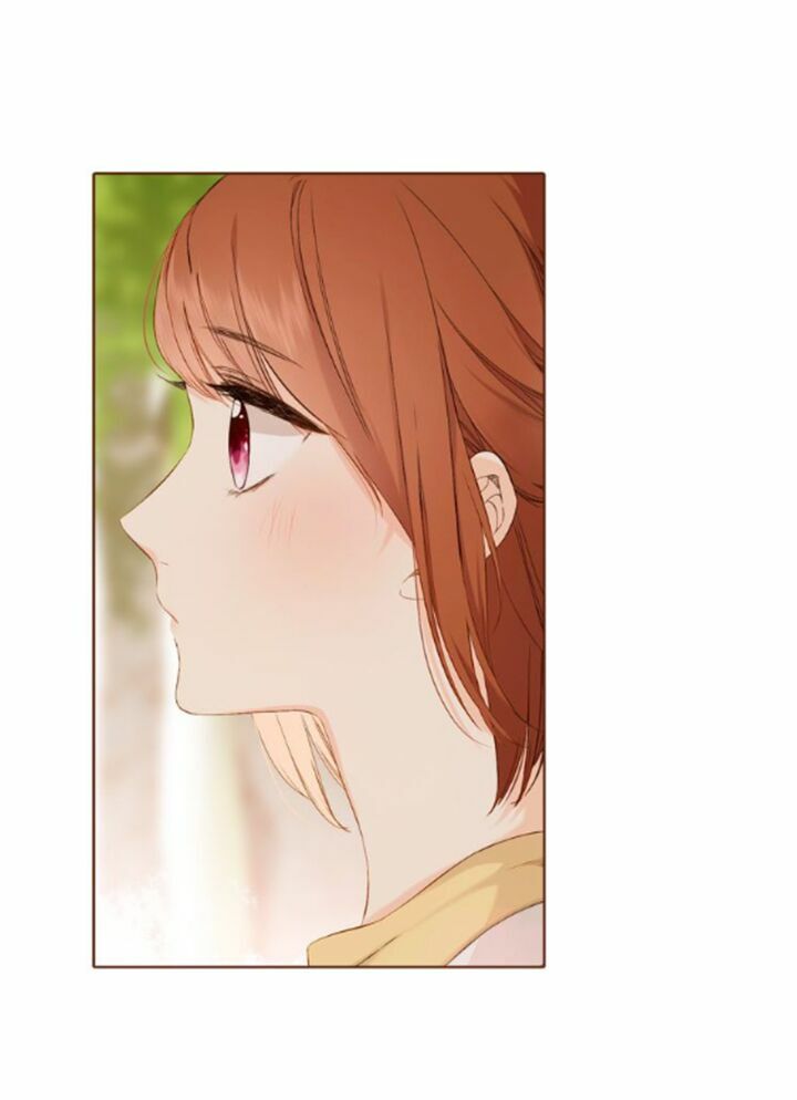 Tình yêu là màu hoa anh thảo chapter 36.1 28