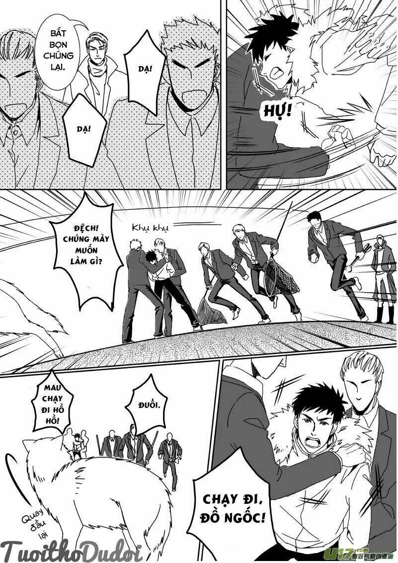 sự mê hoặc của sói chapter 33 8