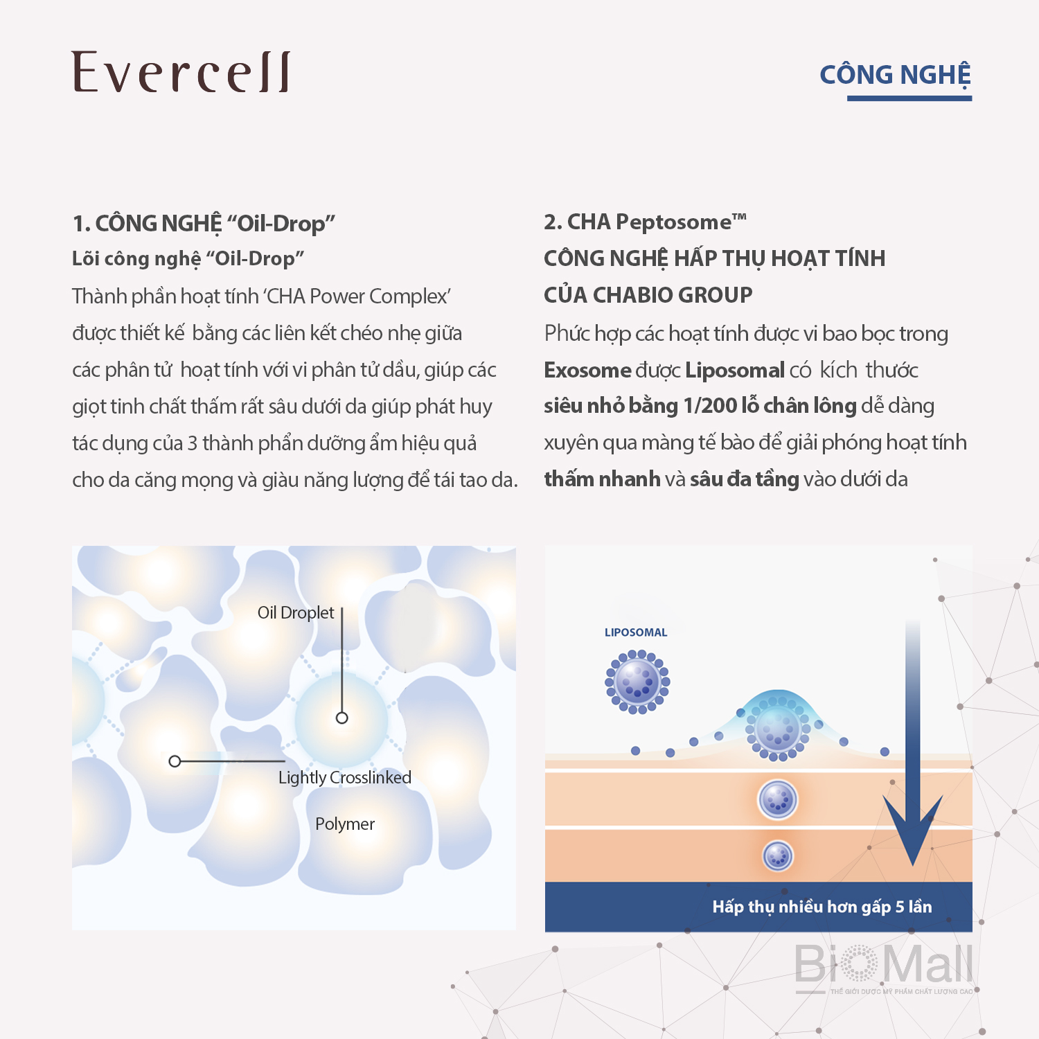 Ampoule năng lượng biển Siêu dưỡng ẩm thần kỳ Tế bào gốc EVERCELL Magic Blue Drop 4chaix10ml