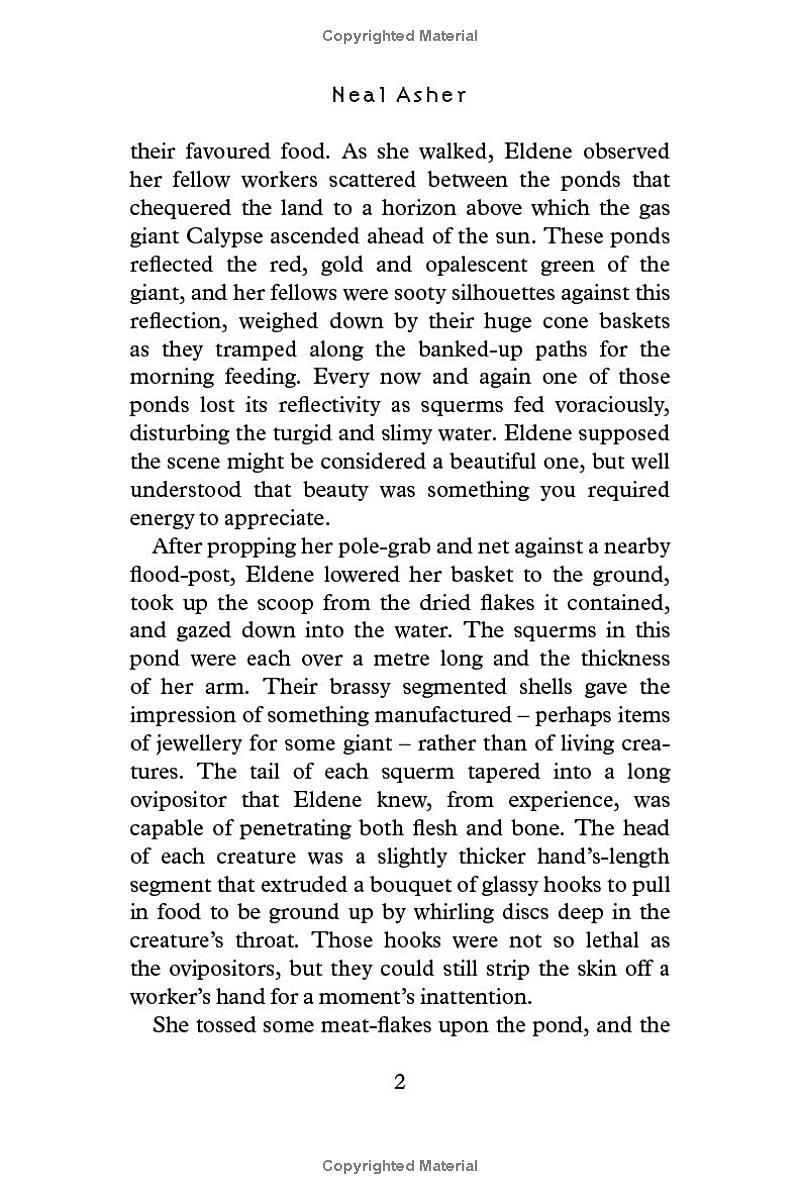 Sách ngoại văn: The Line Of Polity