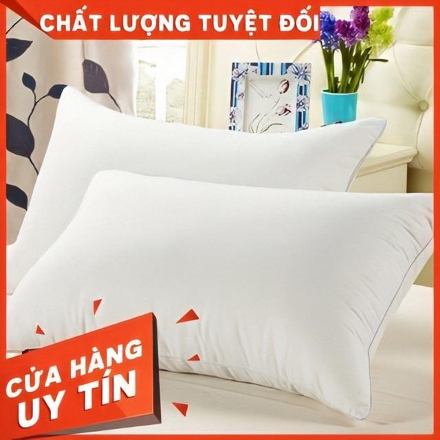 Bộ 2 chiếc ruột gối bông trắng 100% bông sơ