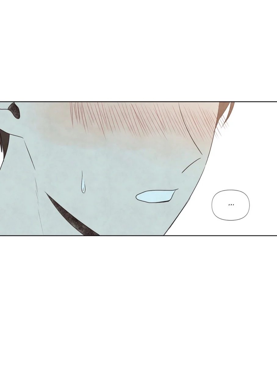 summer solstice point chapter 11 47