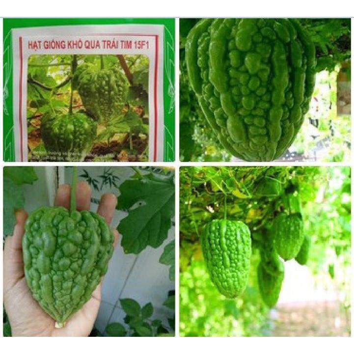Combo 5 loại hạt giống khổ qua – 5 gói – tặng 1 phân bón