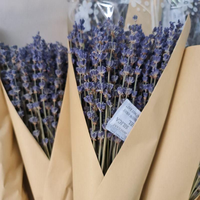 COMBO SỈ 1KG Lavender