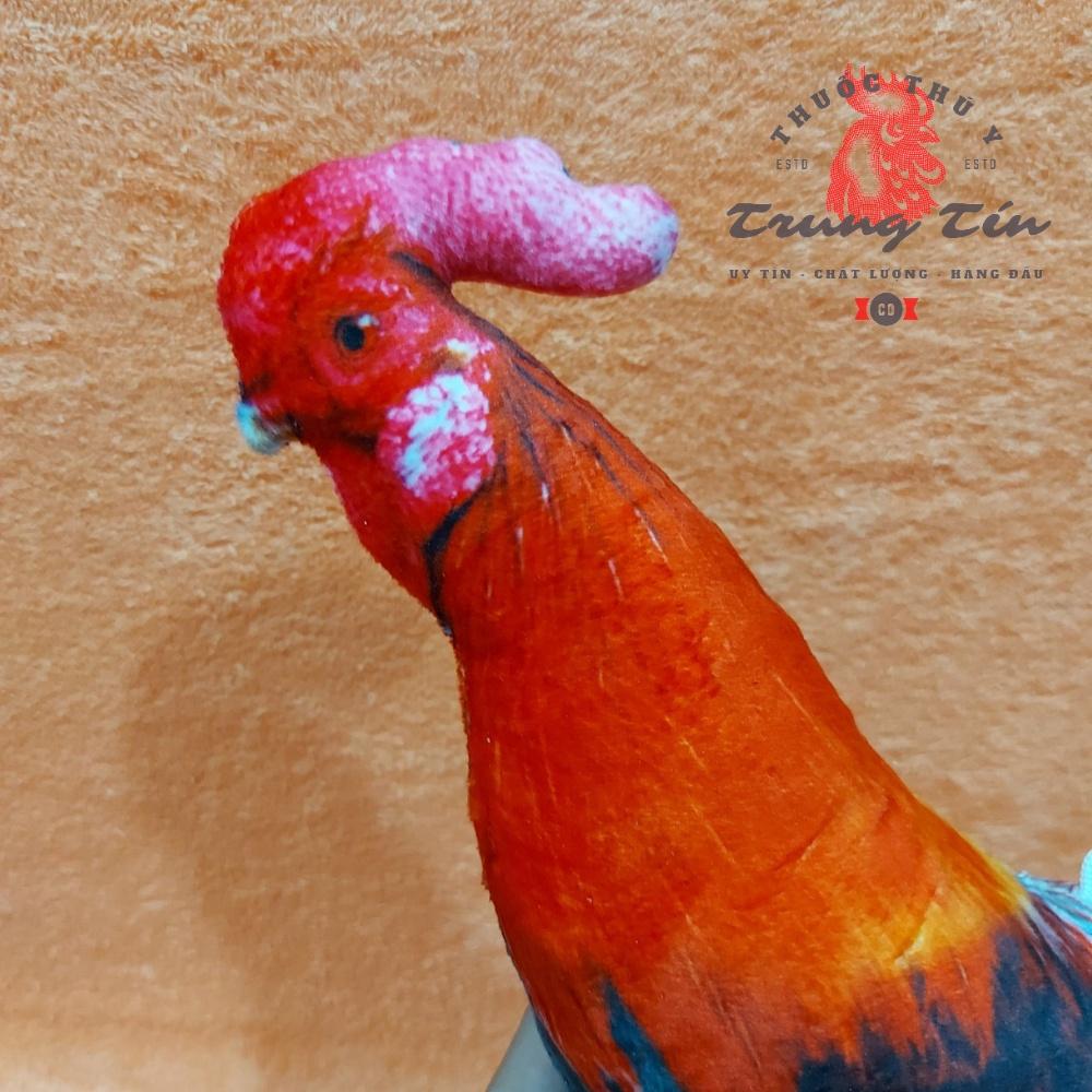 Gà giả tập lực né đòn tốt