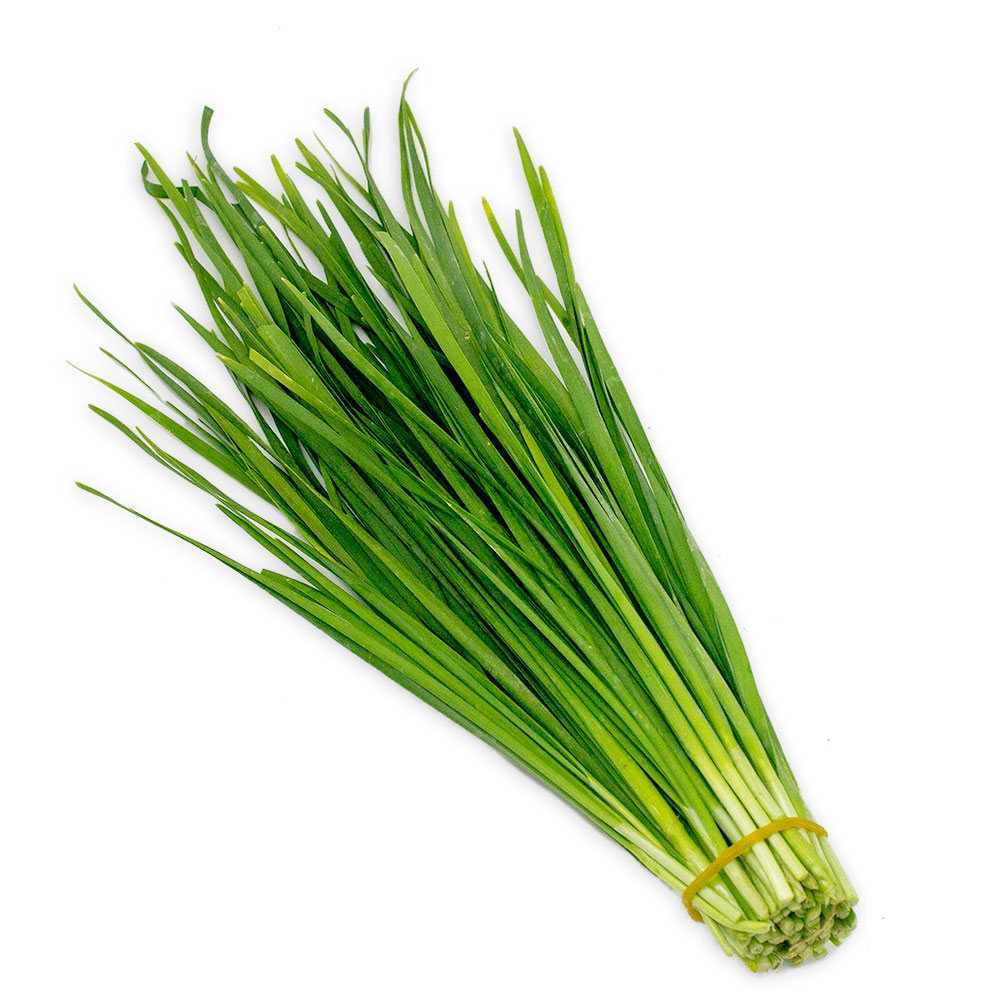 Hạt giống Hẹ Lá cao sản F1 - Nảy mầm cao Titapha