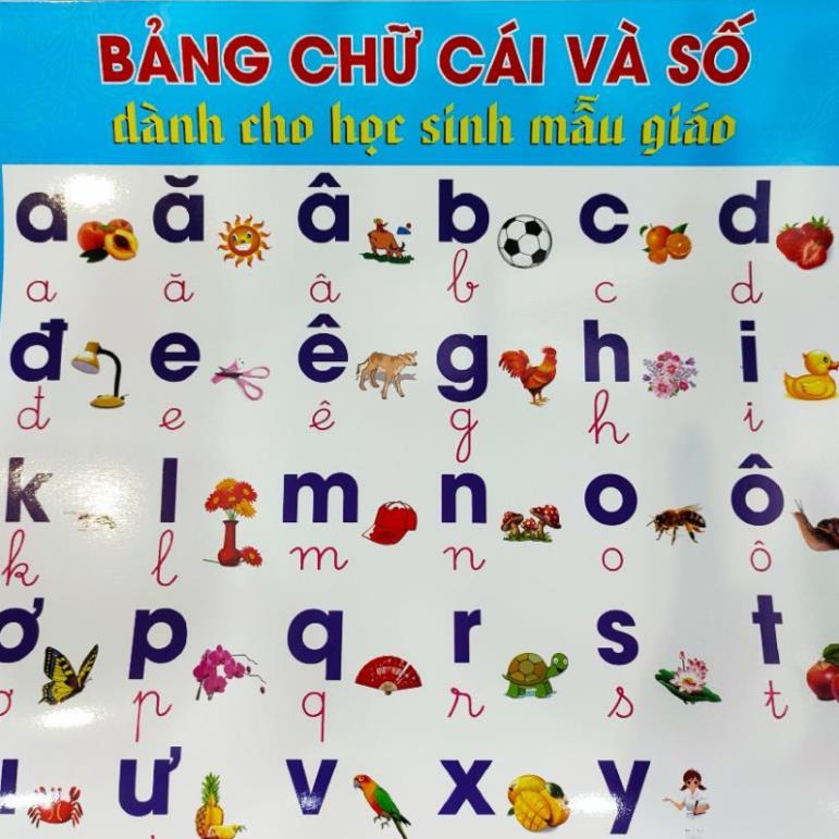 Tranh bảng chữ cái, chữ ghép và số đếm