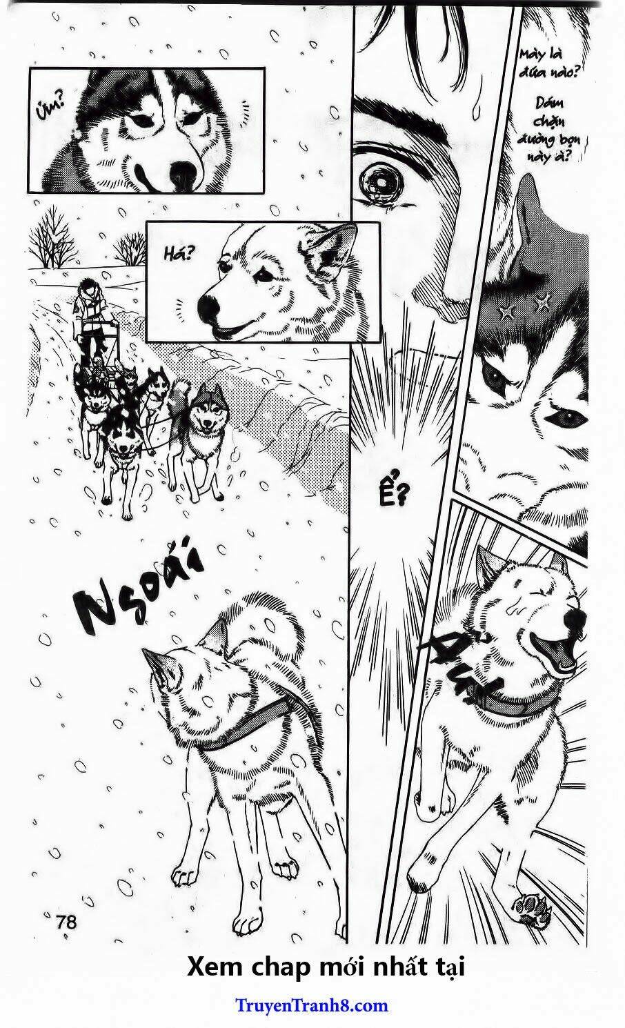 doubutsu no oishasan chapter 103 14