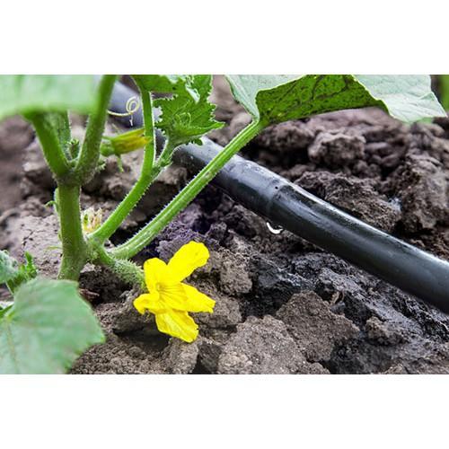 Ống tưới nhỏ giọt dày 0.15mm khoảng cách 20cm