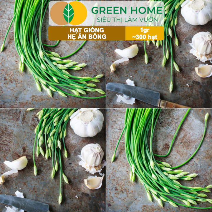 Hạt Giống Hẹ Ăn Bông GreenHome, Gói 1g~300 hạt, Nảy Mầm Đều, Giàu Dinh Dưỡng, Dễ Trồng Quanh Năm G20
