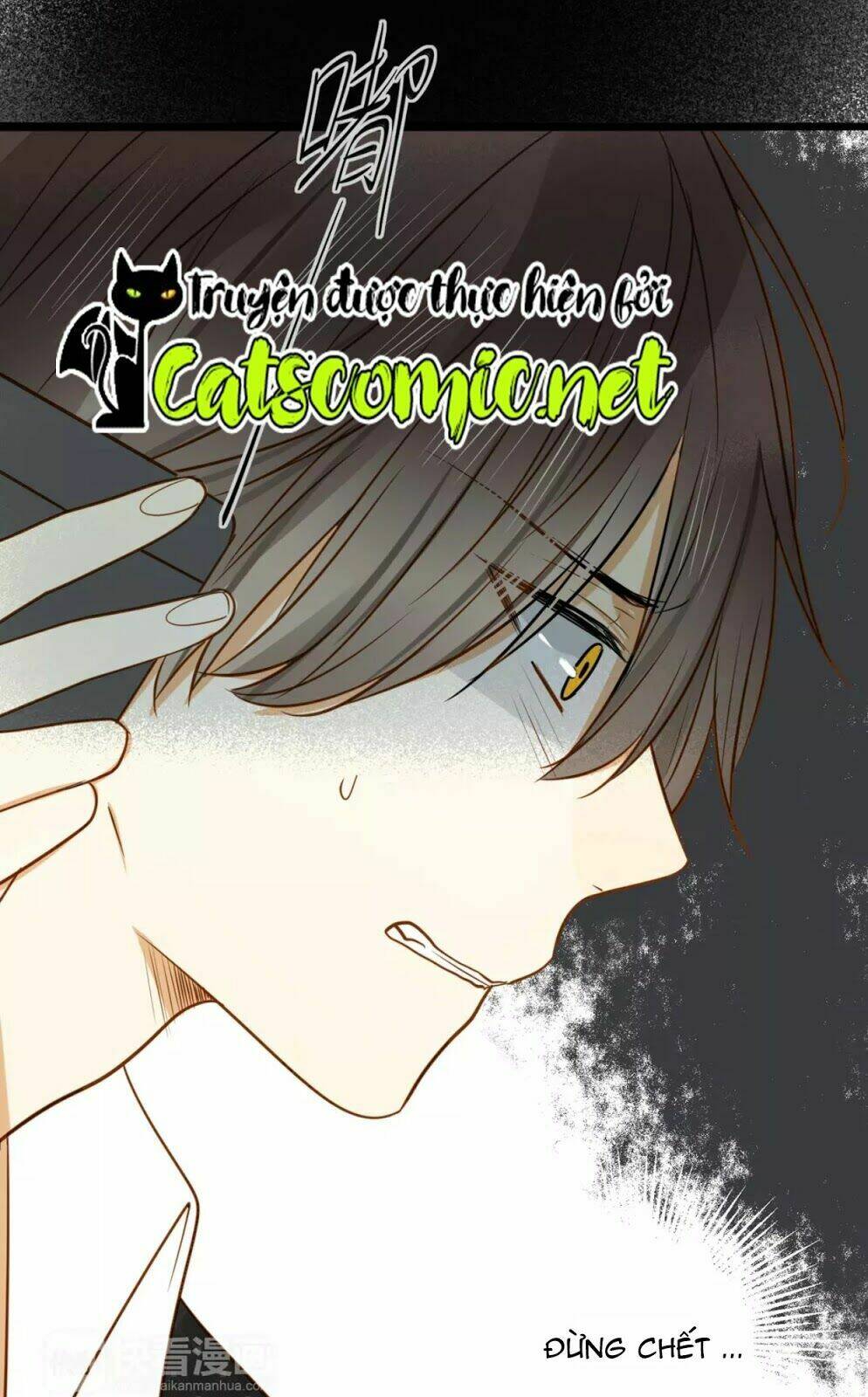 điều giáo quan hệ chapter 21 41